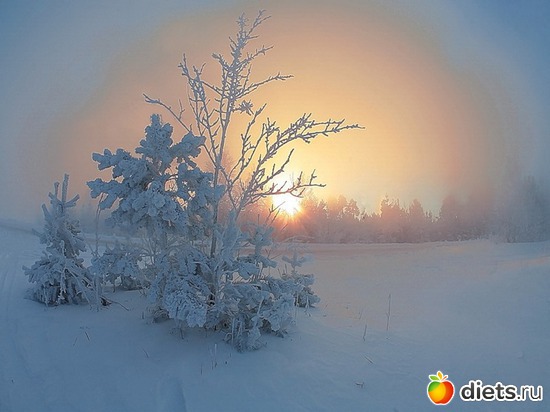 57 ����: ����...