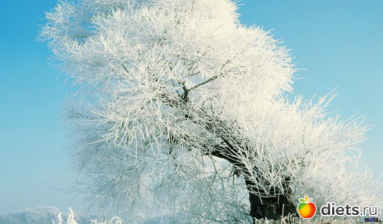 58 ����: ����...