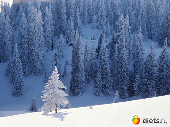 59 ����: ����...