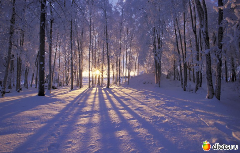 60 ����: ����...