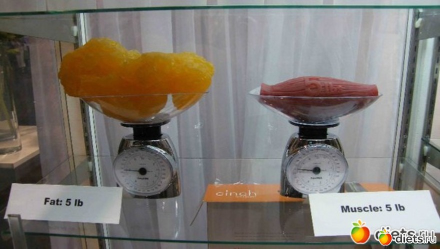 67 ����: �����������)))