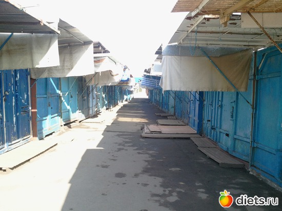 5 ����: ����