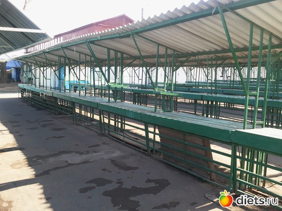 6 фото: зима