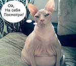 Будь толще — и джинсы на тебе потянутся.