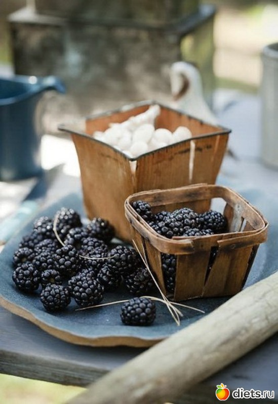 11 ����: ������ ��� ��� ����� :))))