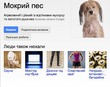 Google-Scent! Новый сервис от гугла - "поиск по запаху"