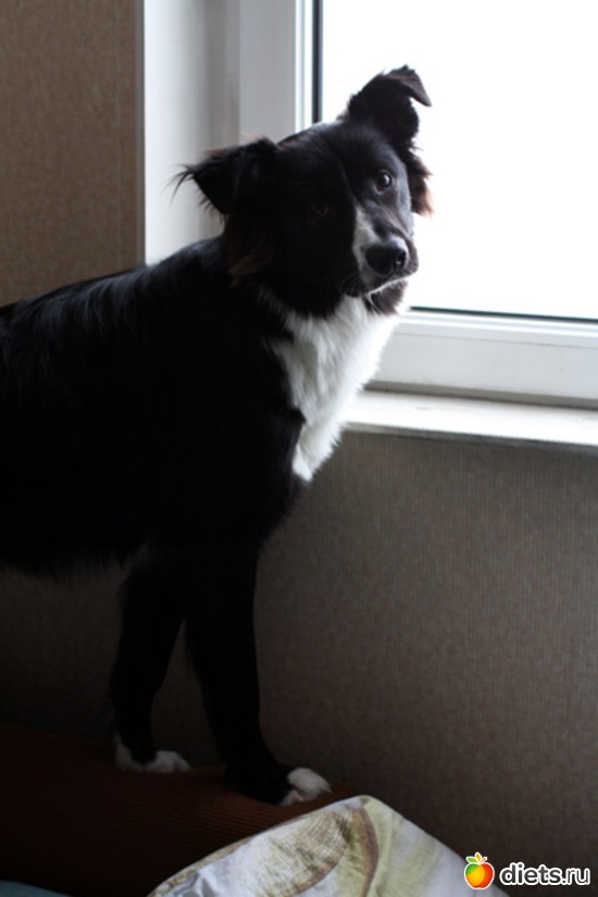 32 ����: ����