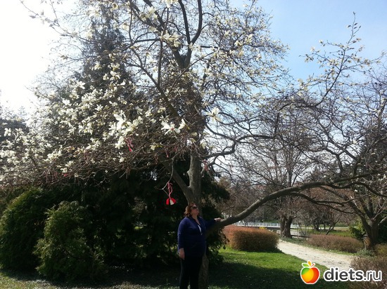 11 ����: ����� 2013 ��������,���������