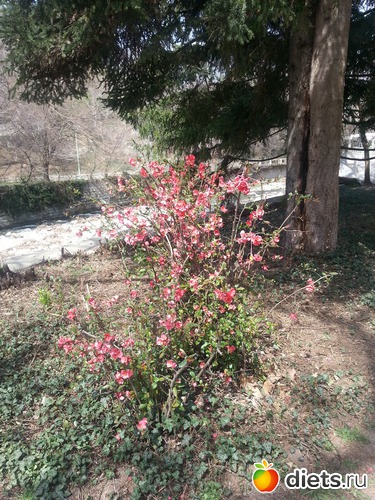 12 ����: ����� 2013 ��������,���������