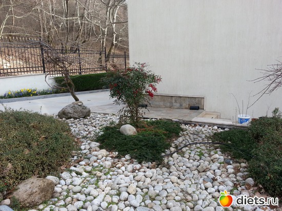 13 ����: ����� 2013 ��������,���������