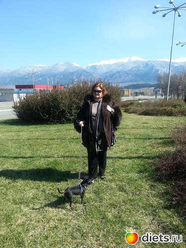 2 ����: ����� 2013 ��������,���������