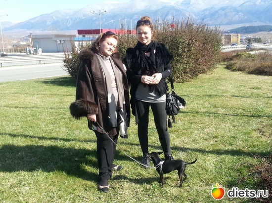 3 ����: ����� 2013 ��������,���������