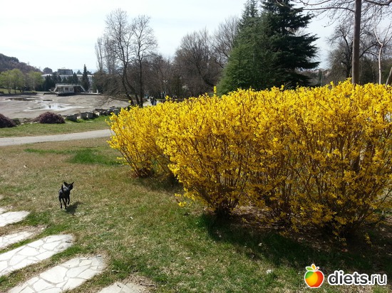 4 ����: ����� 2013 ��������,���������