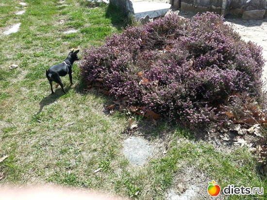 5 ����: ����� 2013 ��������,���������