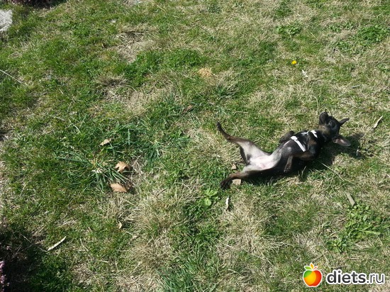 6 ����: ����� 2013 ��������,���������