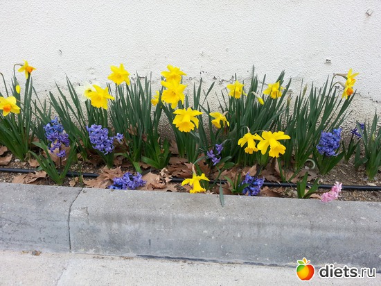 8 ����: ����� 2013 ��������,���������