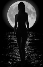 Так... Полпервого ночи(