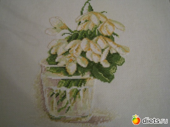 5 ����: ��� ������