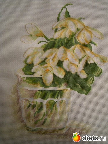 6 ����: ��� ������