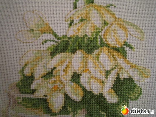 7 ����: ��� ������