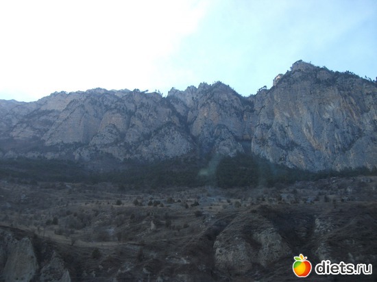 5 ����: ���