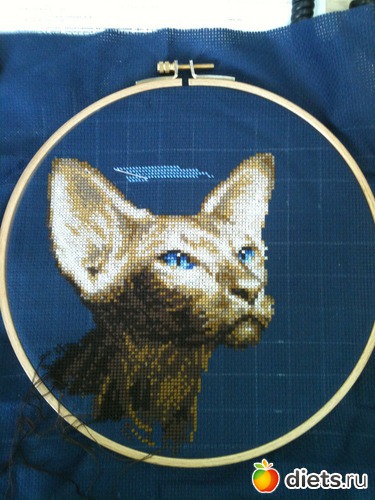 16 ����: ��� ������