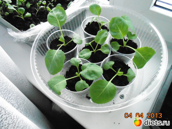 18 фото: просто