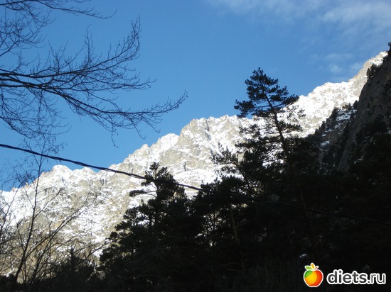 13 ����: ���