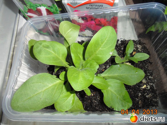 20 фото: просто