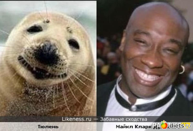 5 ����: �������� ��������