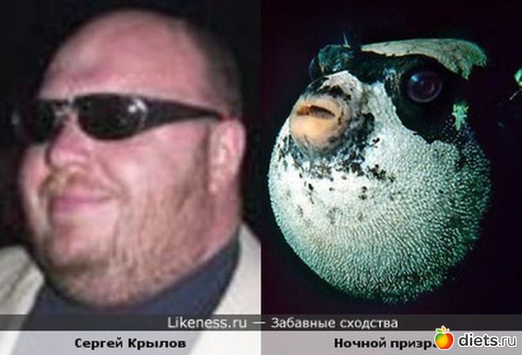 8 ����: �������� ��������