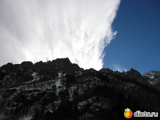 15 ����: ���