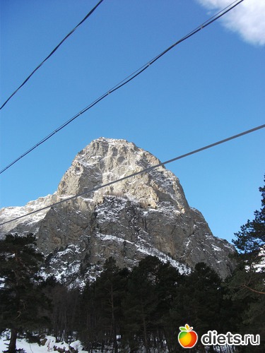 16 ����: ���