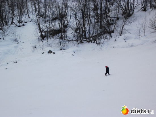 17 ����: ���