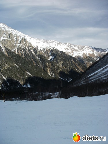 19 ����: ���