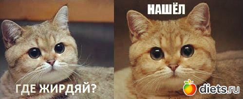 ��� �����!