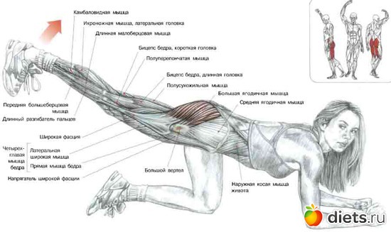 15 ����: ���������