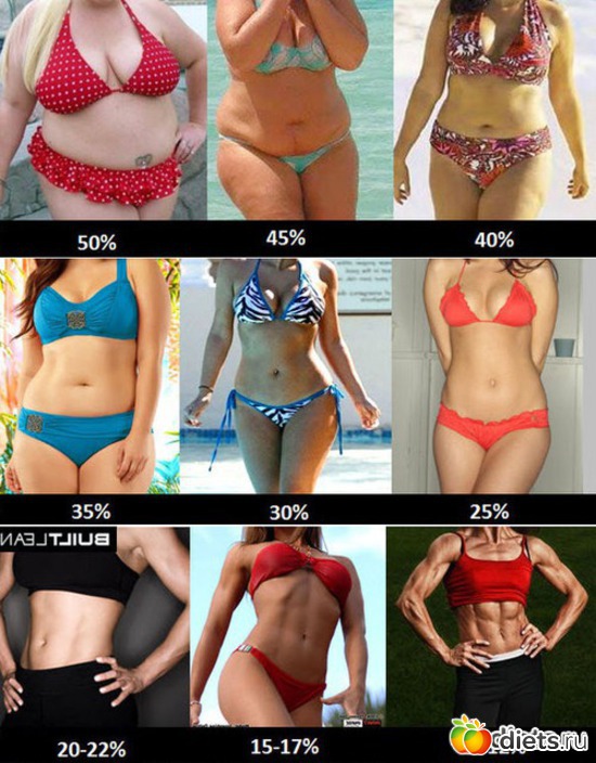 17 ����: ���������