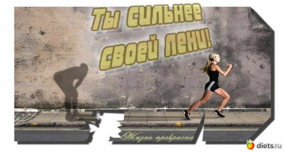 26 ����: ���������