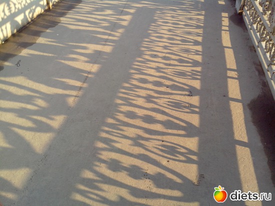 35 фото: Прогулка по Санкт-Петербургу