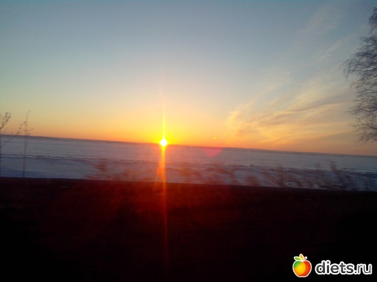 42 ����: �������� �� �����-����������