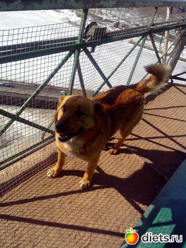 44 ����: �������� �� �����-����������