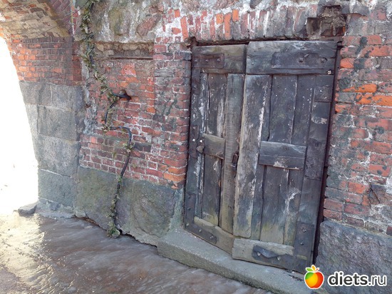 46 ����: �������� �� �����-����������