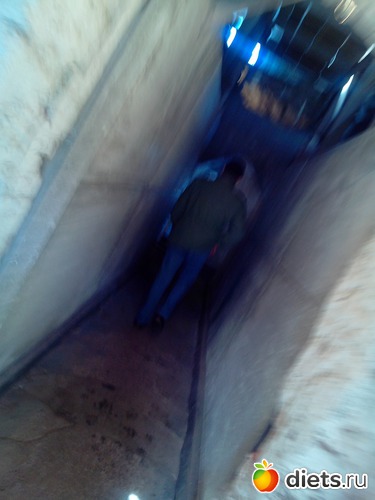 53 ����: �������� �� �����-����������