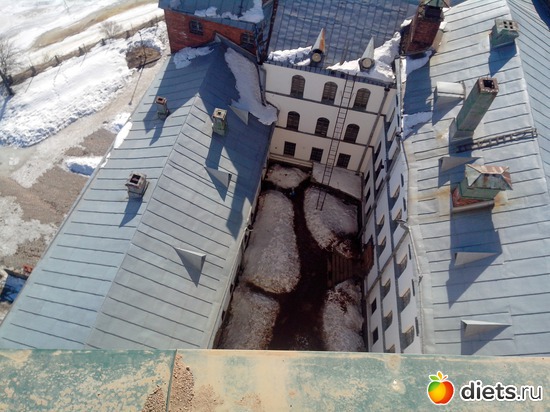 61 ����: �������� �� �����-����������