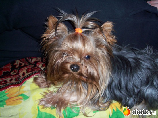 ����, ������: � � ��� �������