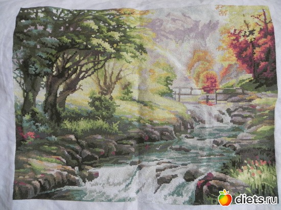 5 фото: Хобби