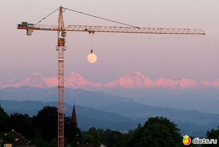 11 ����: �������