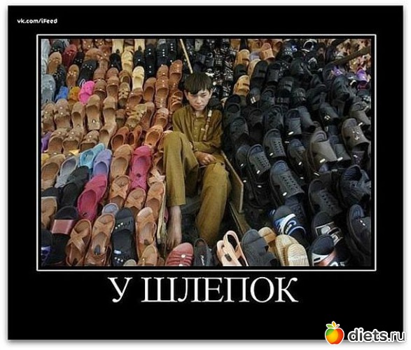 40 ����: �������