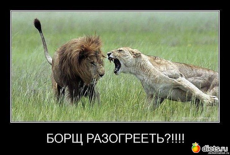 46 ����: �������